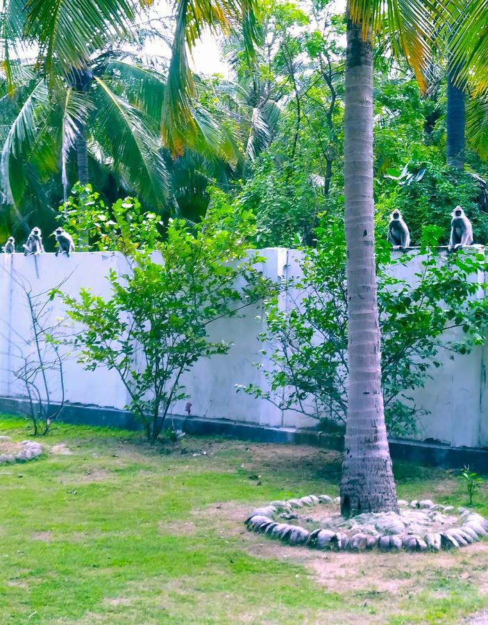 Pearl Oceanic Resort - Trincomalee Esterno foto